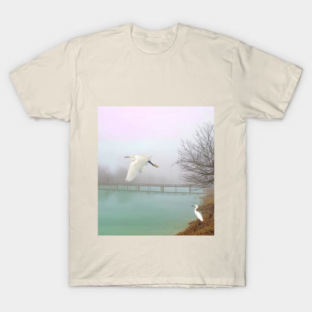 Snowy Egrets at the Bridge T-Shirt by lauradyoung